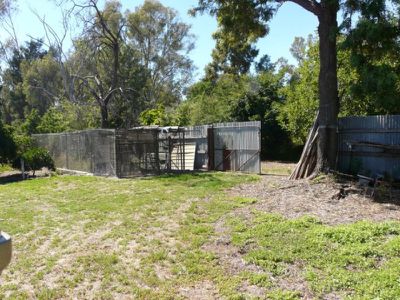 Tocumwal