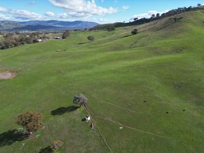 Lot 1, LP135805 Kiewa East Road, Tangambalanga