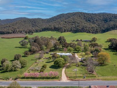 6446 Kiewa Valley Highway, Coral Bank