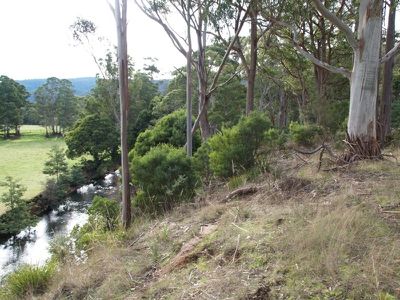 263 Woolleys Road, Lonnavale
