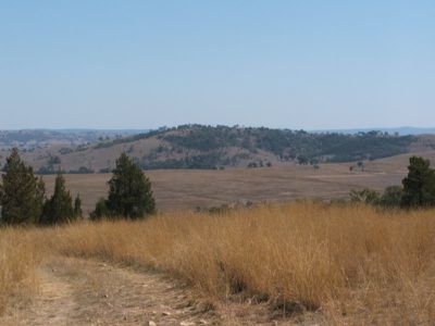 Pindari Dam Road, Ashford