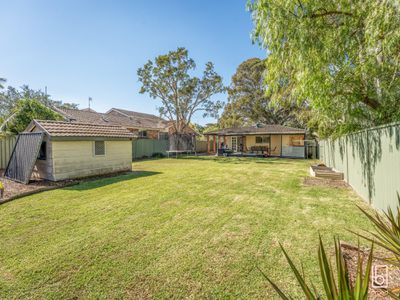 74 The Corso, Gorokan