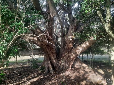 Lot 2 Tunnel Road, Boolboonda