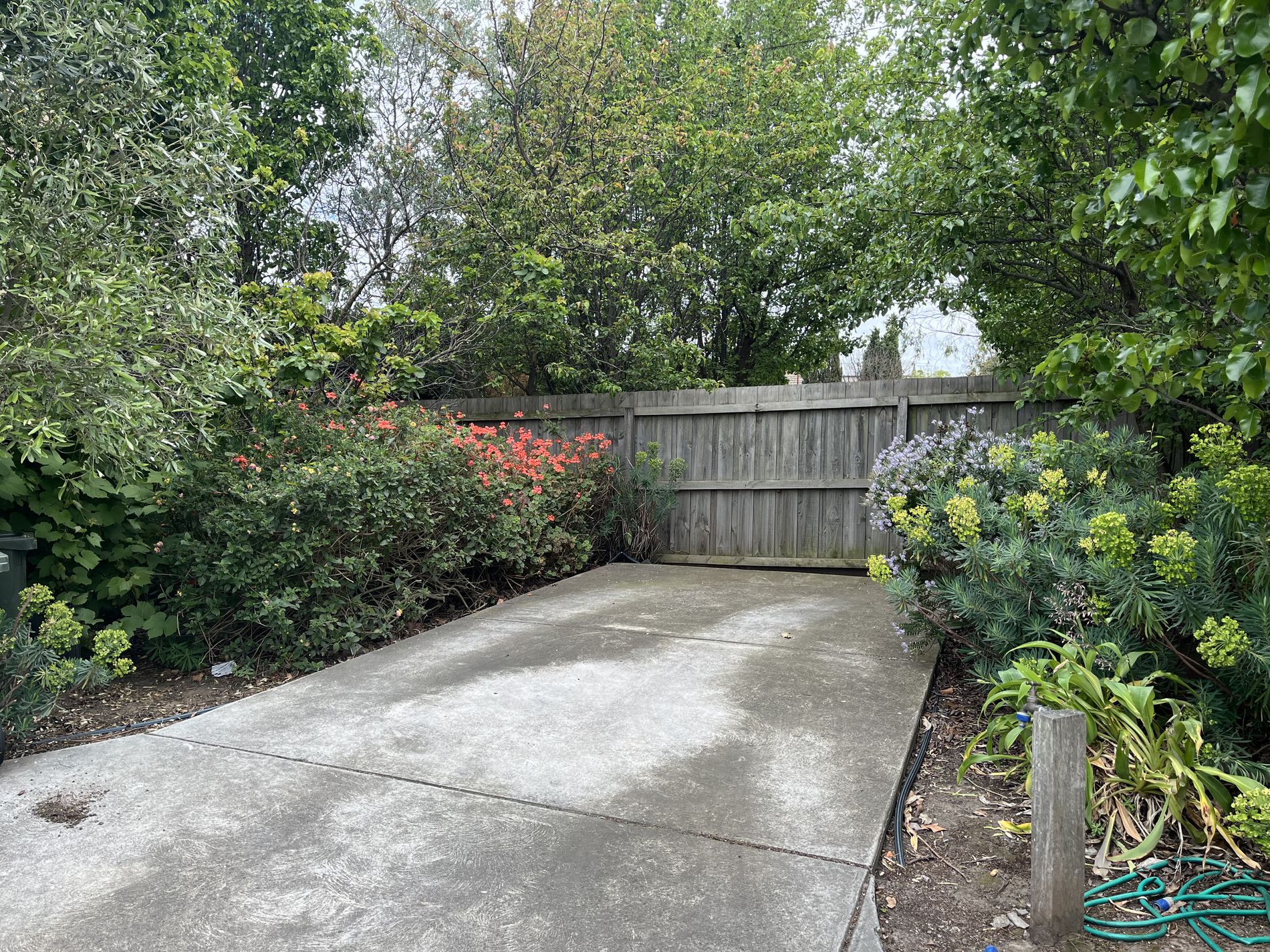 172A Ormond Road, Thomson