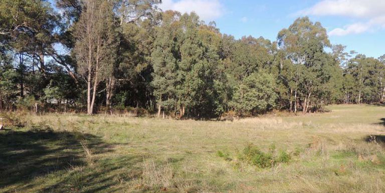 120 Steens Road, Boho