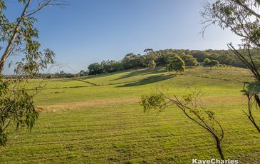55 Leppitt Road, Pakenham