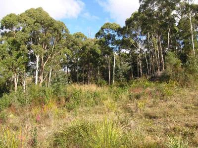 Evans Road, Port Huon