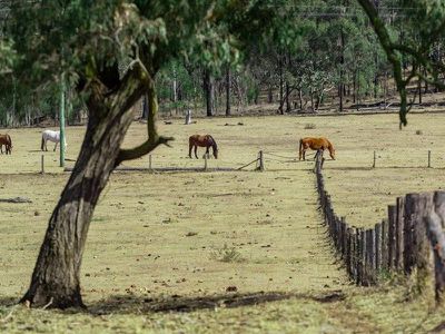 120 Piggery Road, Murgon