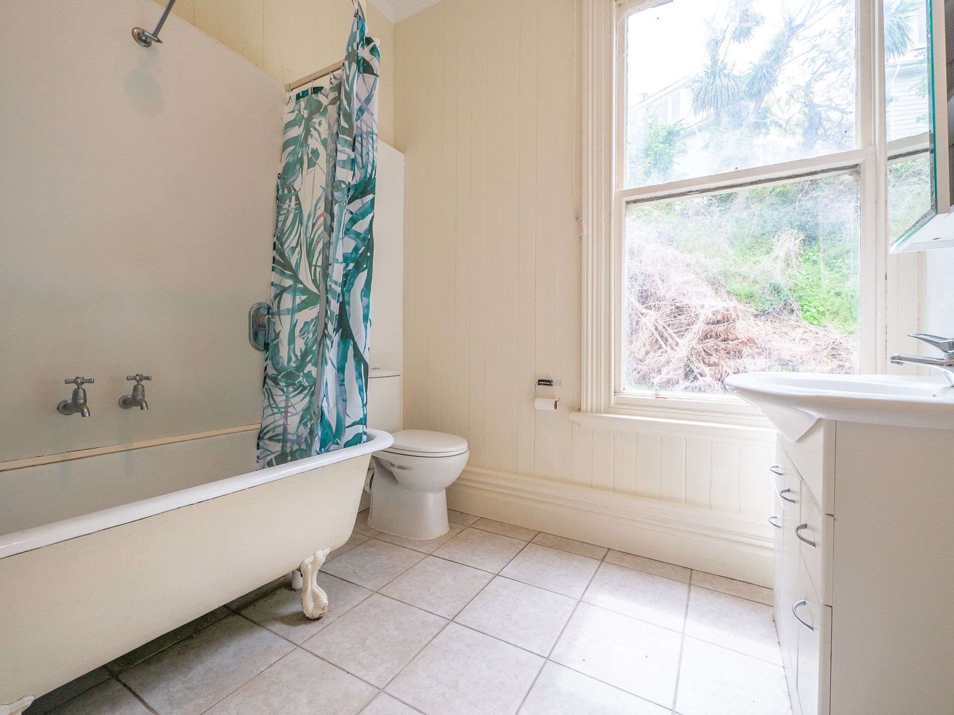 3 / 163 Maitland Street, Dunedin Central