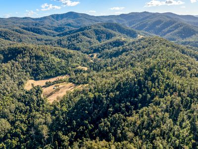 2667 Pappinbarra Road, Pappinbarra