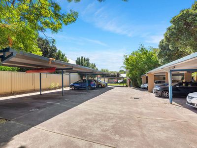 16 / 415 Charles Street, North Perth