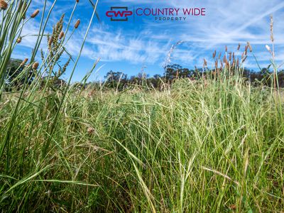 466 Balala Road, Uralla