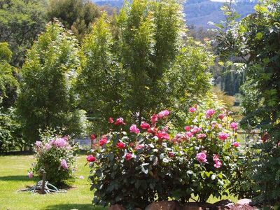 113 Watsons Road, Glen Huon