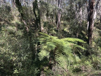 124 Gumms Road, Harolds Cross