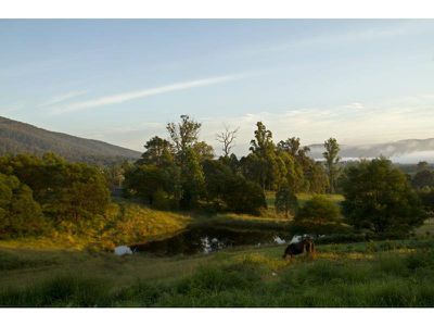402 Yowrie Road, Cobargo