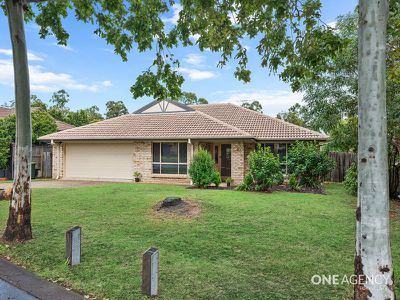 14 Eungella Tce, Forest Lake
