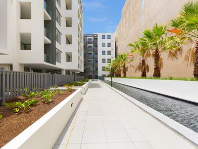 B117 / 810-822 Elizabeth Street, Waterloo