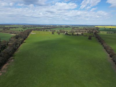 'Burnside' 1009 Howlong-Balldale Road, Balldale