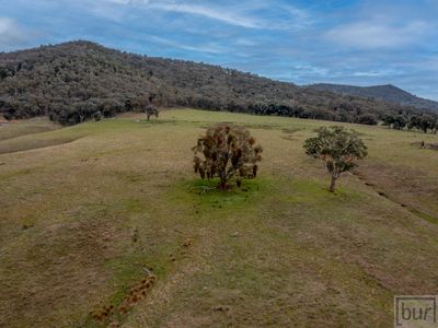 Lot 1, PS 305477 Indigo Creek Road, Indigo Valley