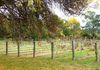 468 Icely Road, Orange