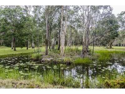 669 McKinnon Drive, Cooroibah