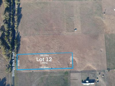 Lot 12, Section 242 Stringy Bark Road, Millicent