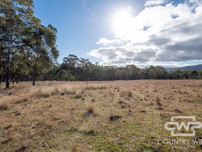 13 Bluff River Road, Tenterfield