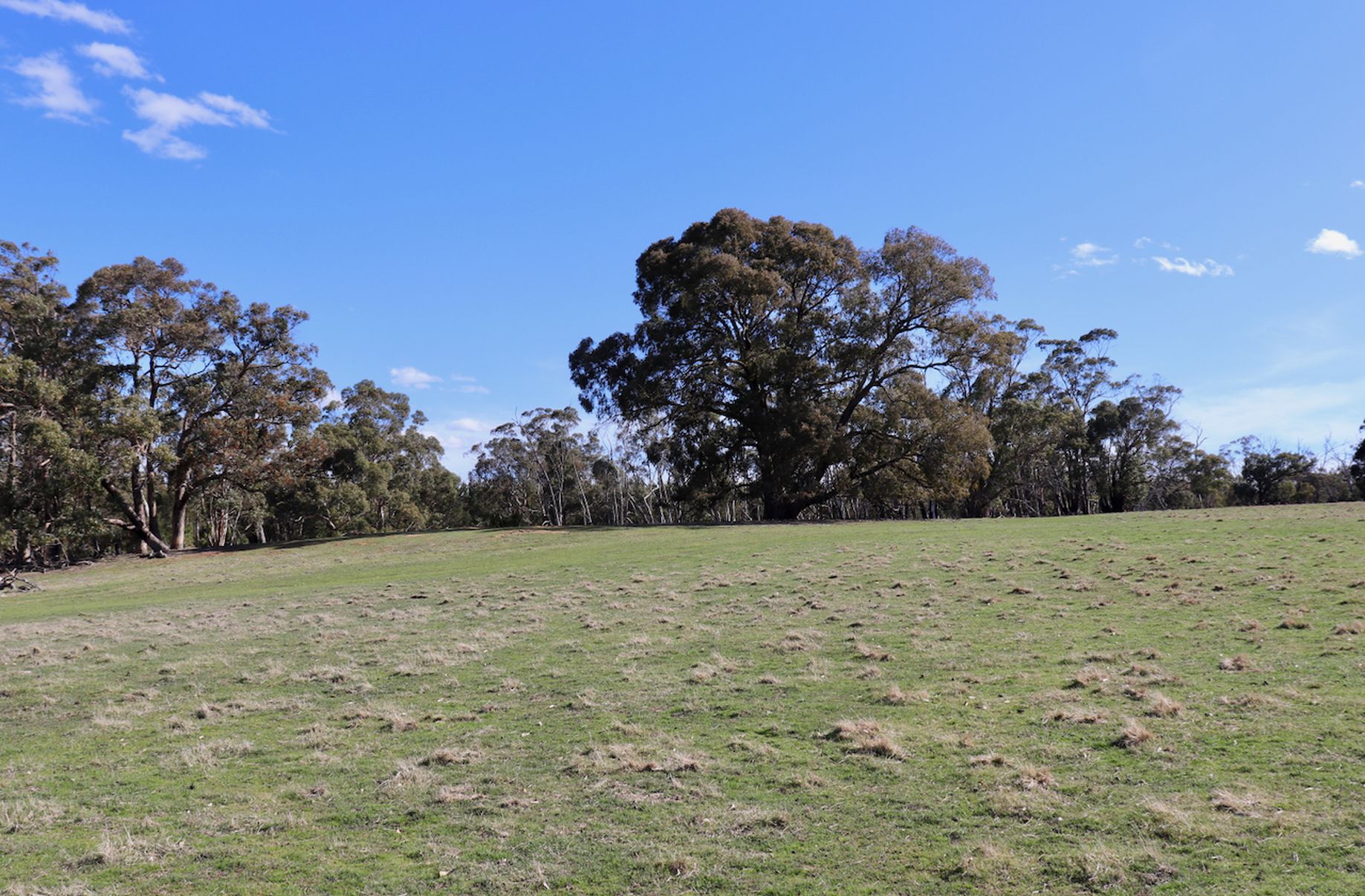 Lot 13, 13A, 13B, 31A &, 31C BRIDGE ROAD, Grenville
