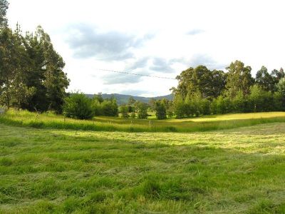 Reids Road, Cradoc