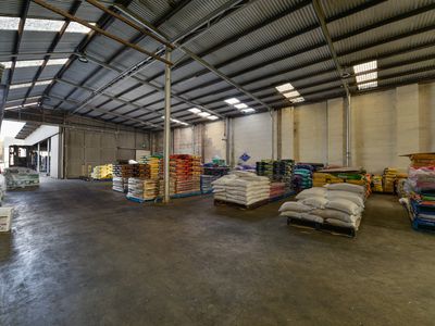 The Produce Store