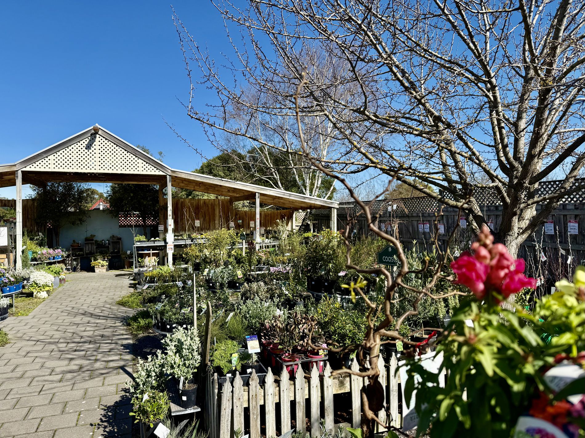 McCourts Garden Centre & McCourts Café, Millicent SA