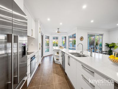 29 Wynberg Drive, Annandale