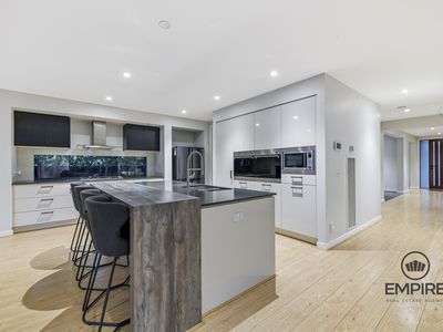 16 Domingo Avenue, Clyde North