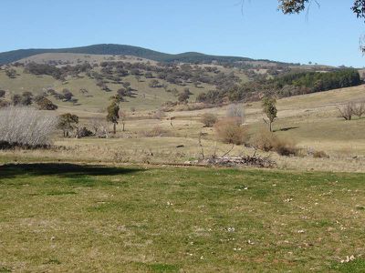 Coombing Park Road, Carcoar