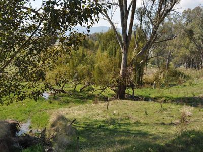 . Jamieson Lane, Sandy Creek