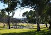 31 Smith Street, Molong