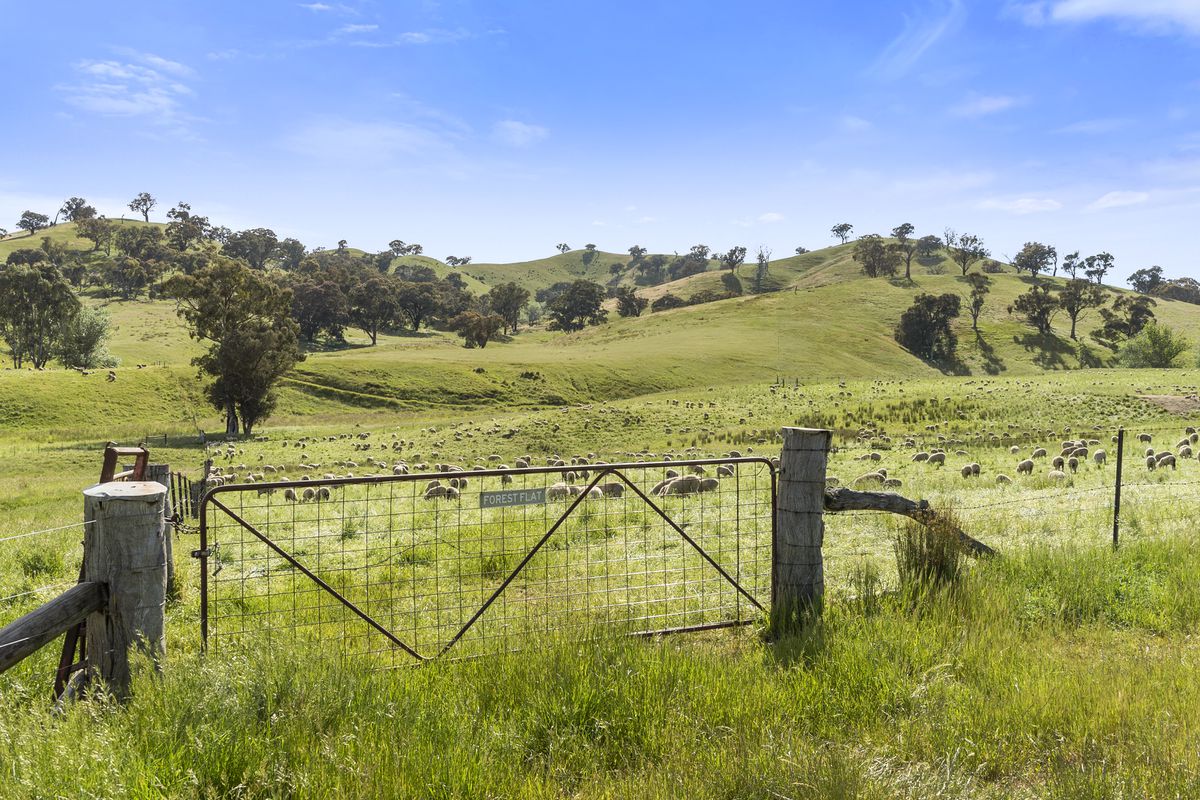 91 Eagles Lane, Bonnie Doon