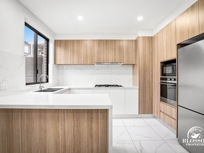 5 Cribbin Street, Marsden Park