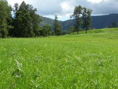 Conondale