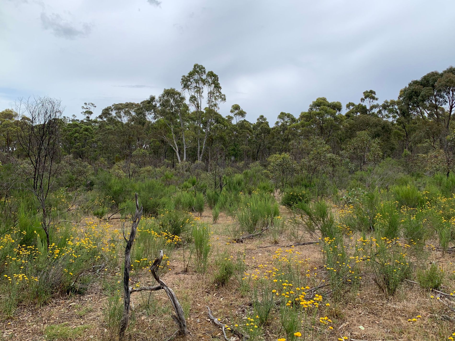 Lot 12 Heathcote-Nagambie Road, Moormbool West