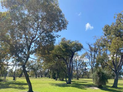 55G Coralberry Crescent, Dianella