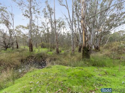 194 Wappentake Lane, Heathcote
