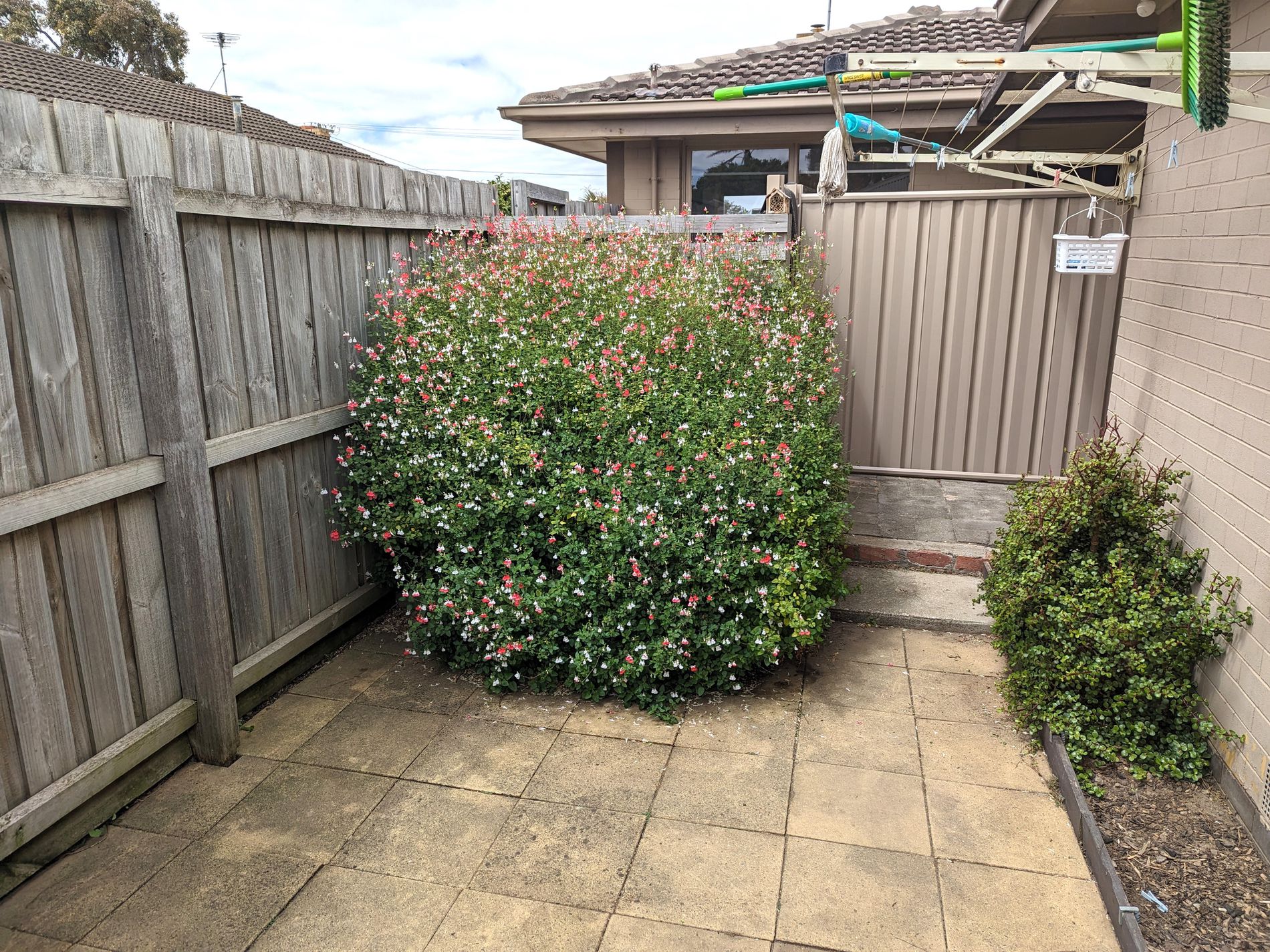 1B / 14 Rimbool Road, Grovedale