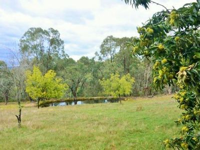 392 Racecourse Road, Yackandandah