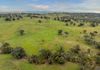6119 Burrendong Way, Stuart Town