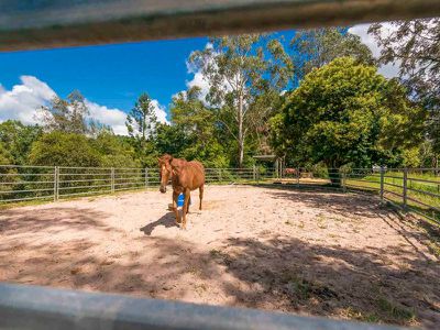 401 Terania Creek Road, The Channon
