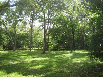 154 Endeavour Valley Road, Cooktown