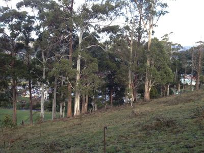 Lot 3 Huon Highway, Geeveston
