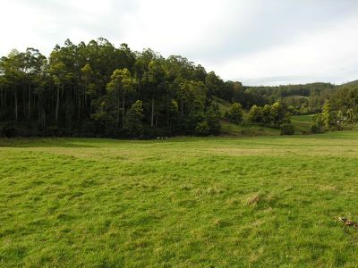 Sculthorpes Road, Nicholls Rivulet