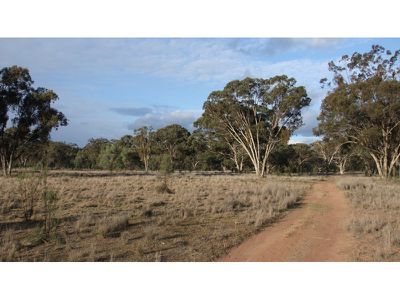 254 Simpson Road, Premer
